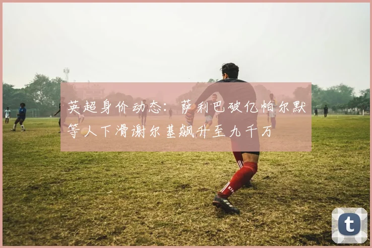 英超身价动态：萨利巴破亿帕尔默等人下滑谢尔基飙升至九千万